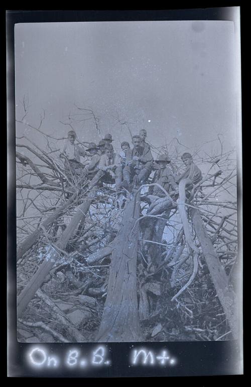 Gift of Mrs. Byard Williams, 1988.133.578, Connecticut Historical Society, Copyright Undetermin…