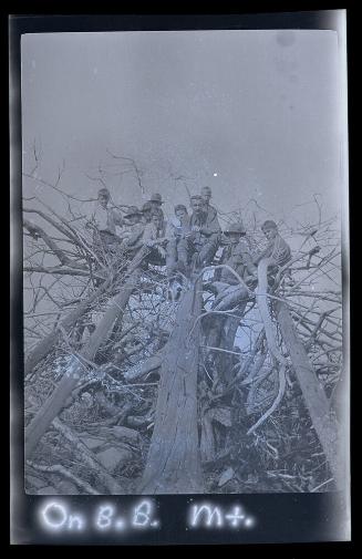 Gift of Mrs. Byard Williams, 1988.133.578, Connecticut Historical Society, Copyright Undetermin…