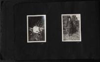 Gift of Jessie Norton-Lazenby, 2021.44.457.1-.229, Connecticut Historical Society, No Known Cop…