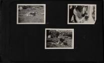 Gift of Jessie Norton-Lazenby, 2021.44.457.1-.229, Connecticut Historical Society, No Known Cop…