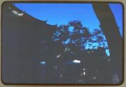 Gift of Robin Harding and Karen Warfield, 2022.32.55, Connecticut Historical Society, No Known …