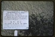 Gift of Robin Harding and Karen Warfield, 2022.32.70, Connecticut Historical Society, No Known …