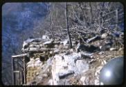 Gift of Robin Harding and Karen Warfield, 2022.32.249, Connecticut Historical Society, No Known…