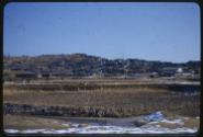 Gift of Robin Harding and Karen Warfield, 2022.32.259, Connecticut Historical Society, No Known…