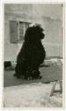 Gift of Laura Harding Brewer and Kate Cheney Chappell, 2022.38.36, Connecticut Historical Socie…