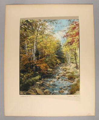 Cathedral Brook