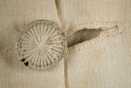 Dorset Button and Buttonhole.