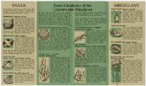 Gift of Marie B. Griffin, 2020.57.5, Connecticut Museum of Culture and History, Copyright Undet…