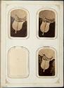 Gift of the Smith-Worthington Saddlery Co., 2021.22.64.1-.70, Connecticut Museum of Culture and…