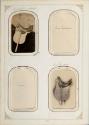 Gift of the Smith-Worthington Saddlery Co., 2021.22.64.1-.70, Connecticut Museum of Culture and…