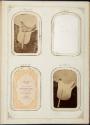 Gift of the Smith-Worthington Saddlery Co., 2021.22.64.1-.70, Connecticut Museum of Culture and…