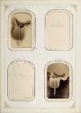 Gift of the Smith-Worthington Saddlery Co., 2021.22.64.1-.70, Connecticut Museum of Culture and…