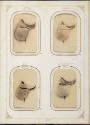 Gift of the Smith-Worthington Saddlery Co., 2021.22.64.1-.70, Connecticut Museum of Culture and…