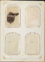 Gift of the Smith-Worthington Saddlery Co., 2021.22.64.1-.70, Connecticut Museum of Culture and…