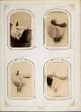 Gift of the Smith-Worthington Saddlery Co., 2021.22.64.1-.70, Connecticut Museum of Culture and…