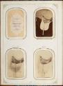 Gift of the Smith-Worthington Saddlery Co., 2021.22.65.1-.69, Connecticut Museum of Culture and…