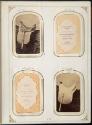 Gift of the Smith-Worthington Saddlery Co., 2021.22.65.1-.69, Connecticut Museum of Culture and…