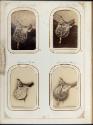 Gift of the Smith-Worthington Saddlery Co., 2021.22.65.1-.69, Connecticut Museum of Culture and…