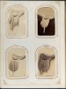 Gift of the Smith-Worthington Saddlery Co., 2021.22.65.1-.69, Connecticut Museum of Culture and…