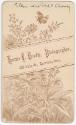 Gift of Mrs. George Wells Cheney, Jr., 1991.54.32, Connecticut Museum of Culture and History, C…