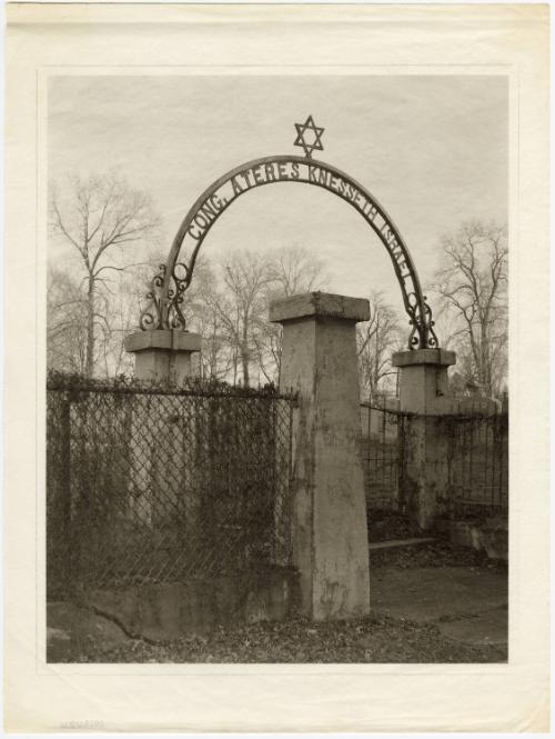 Gift of Terry Harlow, 2023.68.6, Connecticut Museum of Culture and History, In copyright