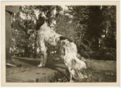 Gift of Mrs. George Wells Cheney, Jr., 1991.54.150, Connecticut Museum of Culture and History, …