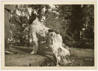 Gift of Mrs. George Wells Cheney, Jr., 1991.54.150, Connecticut Museum of Culture and History, …