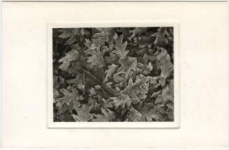 Gift of Terry Harlow, 2022.9.9, Connecticut Museum of Culture and History, In copyright