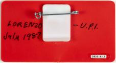Gift of Tracey Lorenzo Budrejko, 2023.82.5, Connecticut Museum of Culture and History collectio…