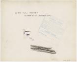 Gift of Gerard and Sylvie O’Brien, 2023.67.15, Connecticut Museum of Culture and History collec…