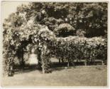 Gift of Gerard and Sylvie O’Brien, 2023.67.41, Connecticut Museum of Culture and History collec…