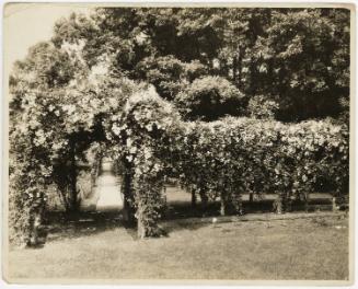 Gift of Gerard and Sylvie O’Brien, 2023.67.41, Connecticut Museum of Culture and History collec…