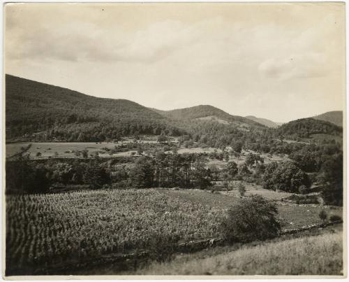 Gift of Gerard and Sylvie O’Brien, 2023.67.49, Connecticut Museum of Culture and History collec…
