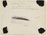 Gift of Gerard and Sylvie O’Brien, 2023.67.50, Connecticut Museum of Culture and History collec…