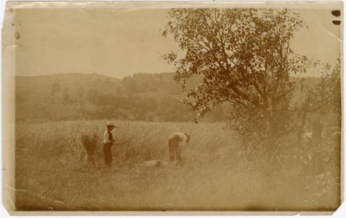 Gift of Gerard and Sylvie O’Brien, 2023.67.58, Connecticut Museum of Culture and History collec…