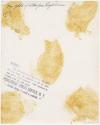 Gift of Gerard and Sylvie O’Brien, 2023.67.77, Connecticut Museum of Culture and History collec…