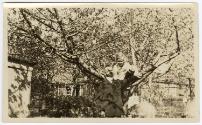 Gift of Mrs. Byard Williams, 1991.63.2, Connecticut Museum of Culture and History, Copyright Un…