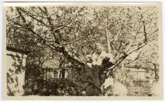 Gift of Mrs. Byard Williams, 1991.63.2, Connecticut Museum of Culture and History, Copyright Un…