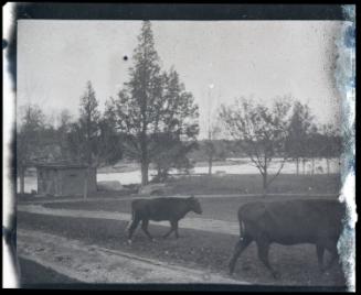 Bequest from the Estate of Elizabeth Beattie, 2023.17.38, Connecticut Museum of Culture and His…