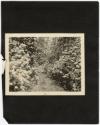 Gift of Edith Cowles Poor, 2008.38.55, Connecticut Museum of Culture and History, Copyright Und…