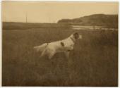 Gift of Mrs. Byard Williams, 1988.85.132, Connecticut Museum of Culture and History, Copyright …