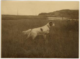 Gift of Mrs. Byard Williams, 1988.85.132, Connecticut Museum of Culture and History, Copyright …