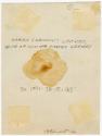 Gift of Hannah C. Williams, 1992.115.12, Connecticut Museum of Culture and History, Copyright U…