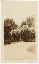 Gift of Thomas L. Cheney, 1991.28.63, Connecticut Museum of Culture and History, Copyright Unde…