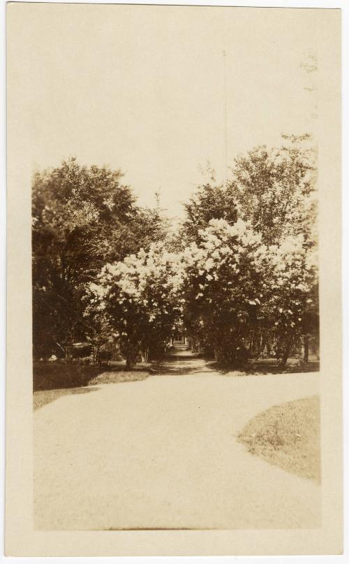Gift of Thomas L. Cheney, 1991.28.63, Connecticut Museum of Culture and History, Copyright Unde…
