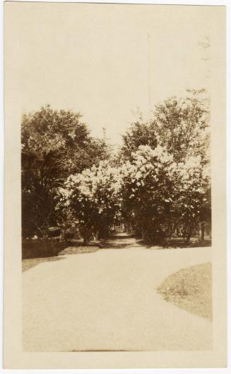 Gift of Thomas L. Cheney, 1991.28.63, Connecticut Museum of Culture and History, Copyright Unde…