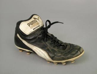 Woman's Shoe