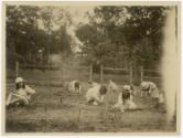 Gift of Mrs. Byard Williams, 1988.85.144, Connecticut Museum of Culture and History, Copyright …