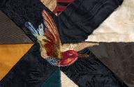 Detail of bird.