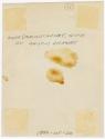 Gift of Hannah C. Williams, 1992.115.20, Connecticut Museum of Culture and History, Copyright U…